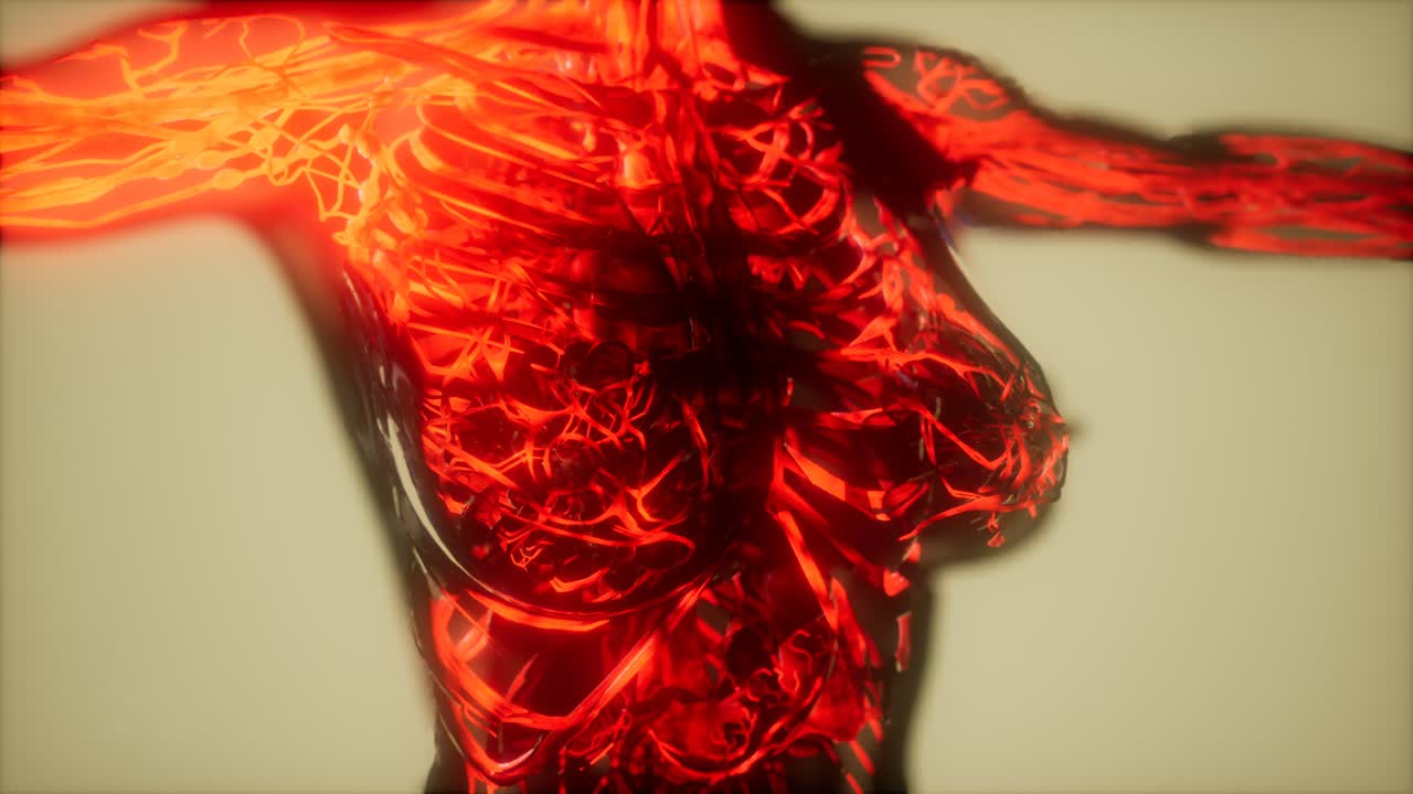 inspección de la sangre en los vasos sanguíneos del sistema circulatorio