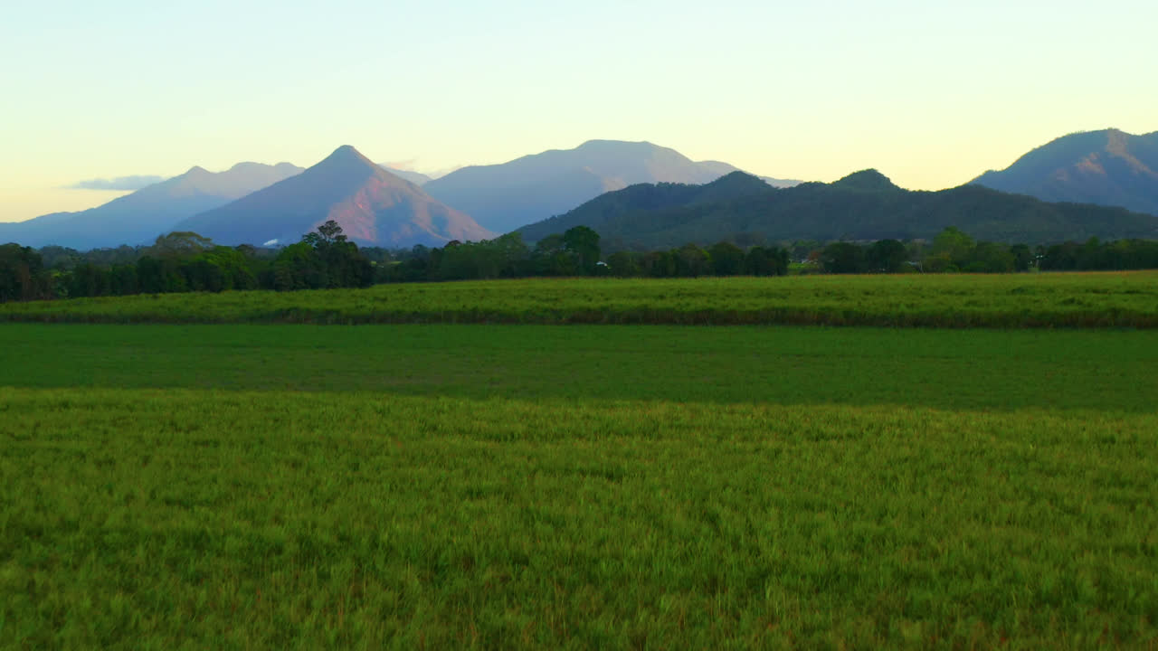 케언즈, 퀸즐랜드, 호주의 배경에 산들과 녹색 농업 분야를 비행 - 공중 드론 샷