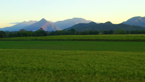 Volando-Sobre-Campos-De-Agricultura-Verde-Con-Montañas-En-El-Fondo-En-Cairns,-Queensland,-Australia---Toma-Aérea-De-Drones