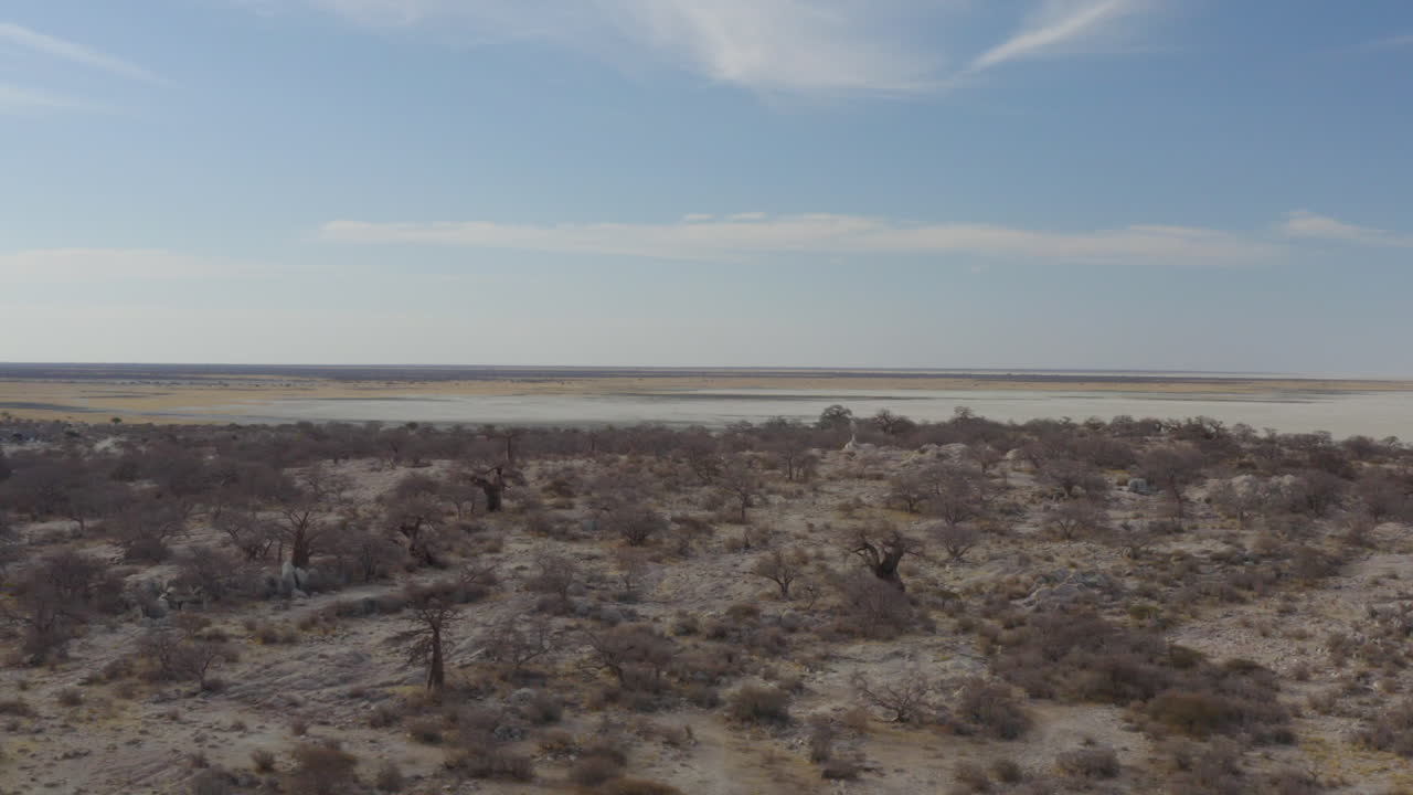 vista aérea de un terreno desolado con árboles de baobab en la isla de kubu, botswana