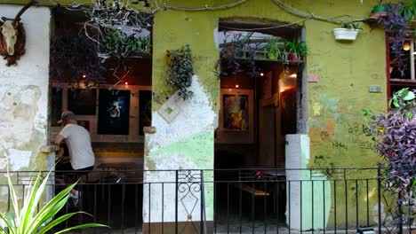 bares de ruinas históricos iluminados por el sol en el corazón de budapest en hungría, europa - pubs construidos con graffiti cubiertos de espacios abandonados y devastados por la guerra, vida vegetal interior