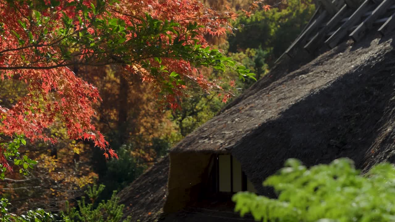 detalle de primer plano de la casa japonesa en el techo de paja durante los colores de otoño