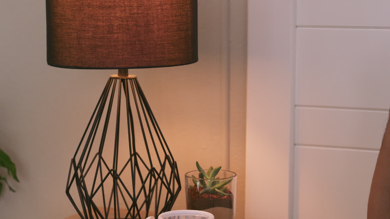 Close-up of a lamp and succulent on a nightstand