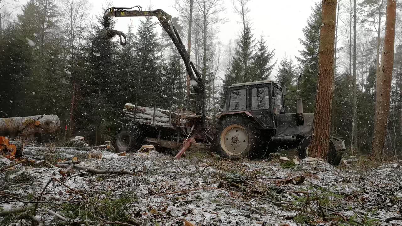 лесозаготовительная машина загружает бревна в лесу во время метели - крупный план