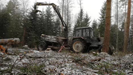 máquina forestal cargando troncos en el bosque durante la tormenta de nieve - plano general