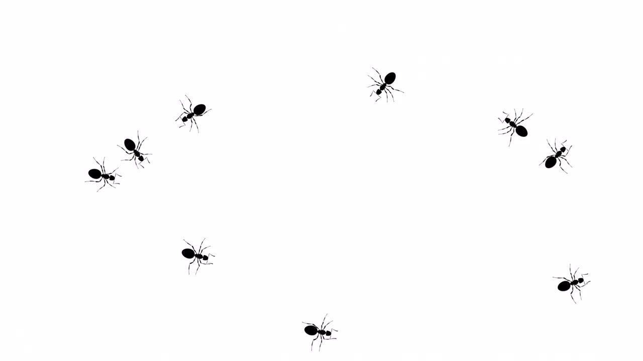 검은 개미 군중은 색에 루프를 실행