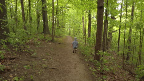 Niño-Pequeño-Caminando-Por-Un-Sendero-Forestal