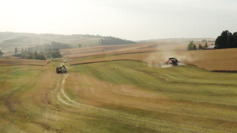 Harvest-season-at-canola-grain-field-with-combine-harvester-at-work,-aerial