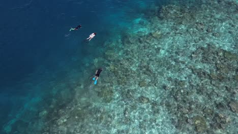 aerial top down tourist enjoying snorkelling diving experience in maldive coral reef indian ocean paradise island