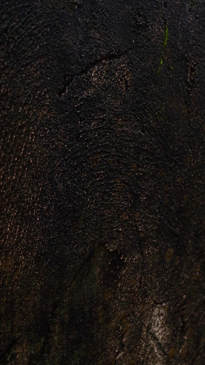 Dark textured rough wall surface