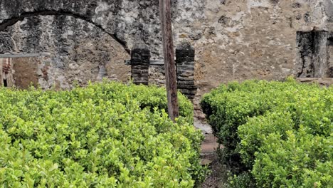 camera moving up from green bushes to reveal a crucifix in the ruins of a old monastery