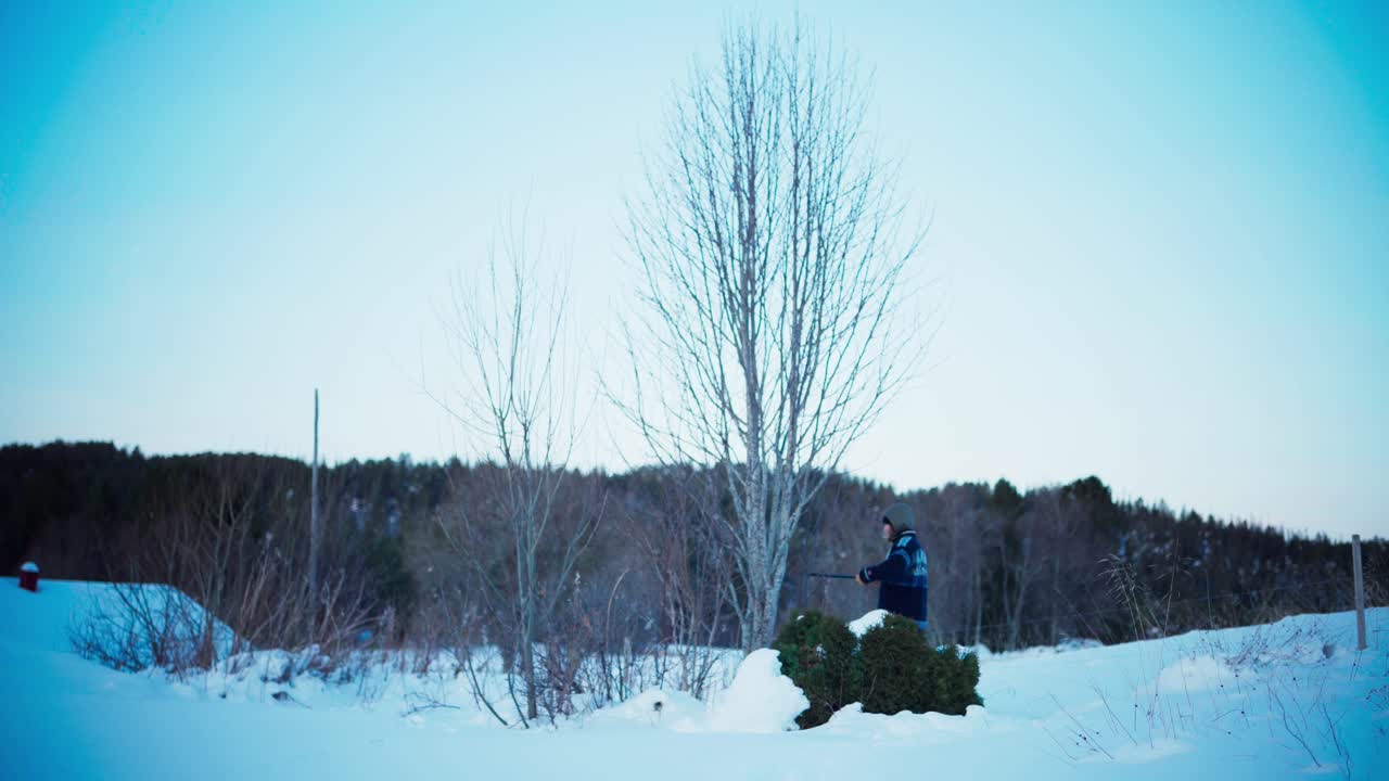 정원사는 겨울에 재배를 위해 나무 나무를 자르고 있습니다.