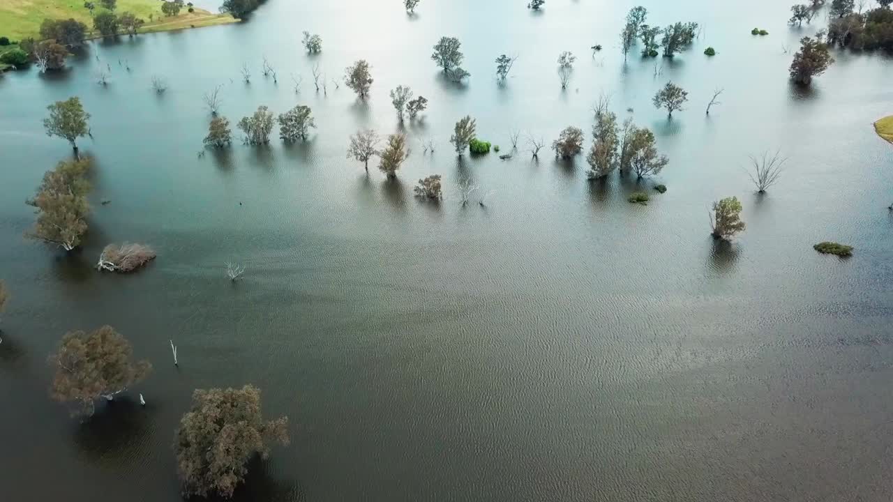 Aerial view looking down over the swollen floodplains of the Mitta Mitta River near where it enters Lake Hume, in north-east Victoria, Australia. November 2021.