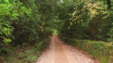 Lush-green-rural-forest-dirt-road-during-day-time,-Tuscany-woodland