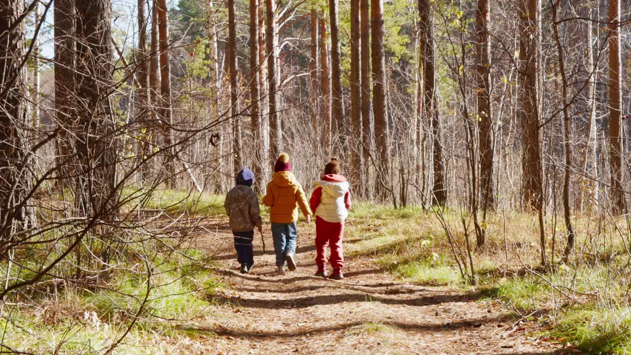Tre barn går og utforsker en solrik skogssti om høsten