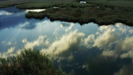 clouds reflected on the river between the reeds