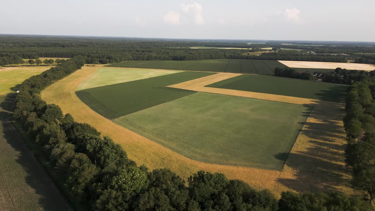 vista aérea de los campos agrícolas