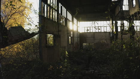 plantas y árboles tomando el control de la antigua fábrica abandonada destruida sol brillando a través de las ventanas