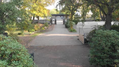 Dresden,-Friedhof,-Dolly-Out,-Antenne