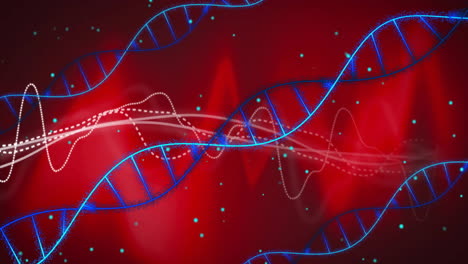 dna strands and data waves, genetic research animation over red background