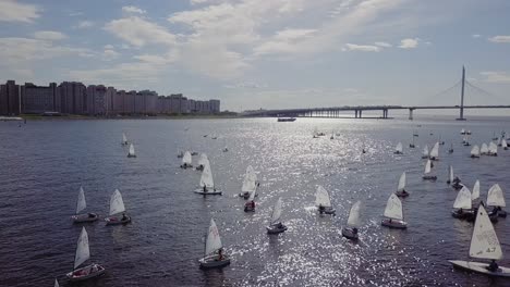 Yachts-sailing-in-a-city-bay-next-to-a-bridge-and-summer-sun,-white-ripples-on-a-water