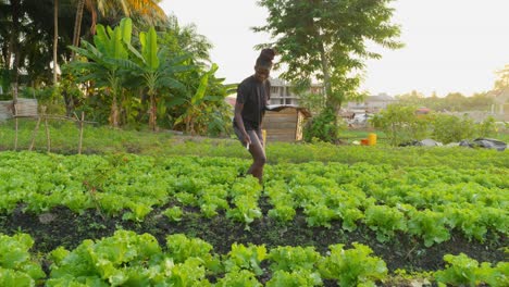 Agricultura-De-Precisión-Moderna-Agritech-En-áfrica,-Mujer-Negra-Recopilando-Datos-En-Un-Cuaderno-De-Una-Plantación-Agrícola-En-áfrica