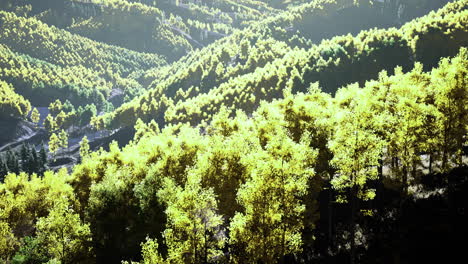 vibrant landscape showcasing lush green hills under golden sunlight