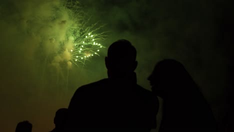 fireworks show with people watching