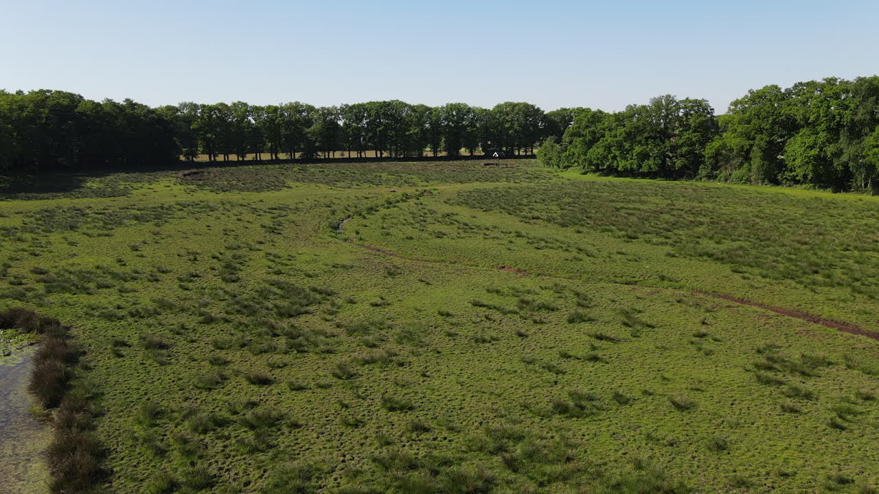 Drone shot of green landscape and forest.