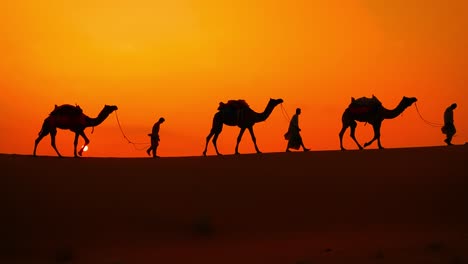 Cameleers,-camel-Drivers-at-sunset.-Thar-desert-on-sunset-Jaisalmer,-Rajasthan,-India.