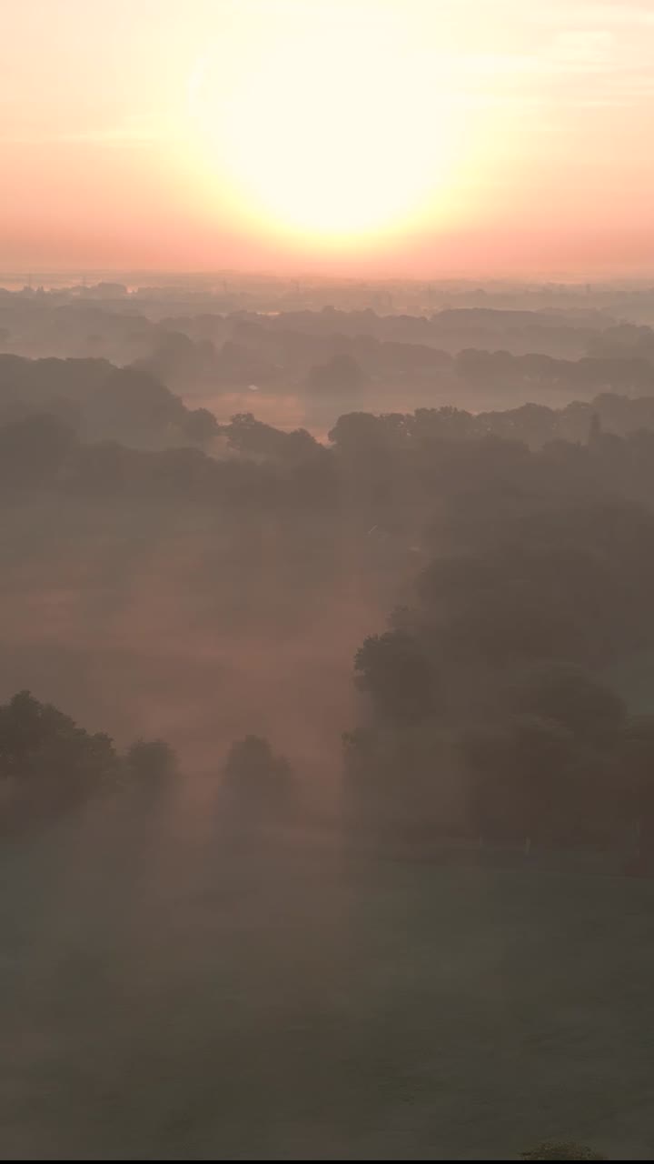 el amanecer brumoso sobre un parque