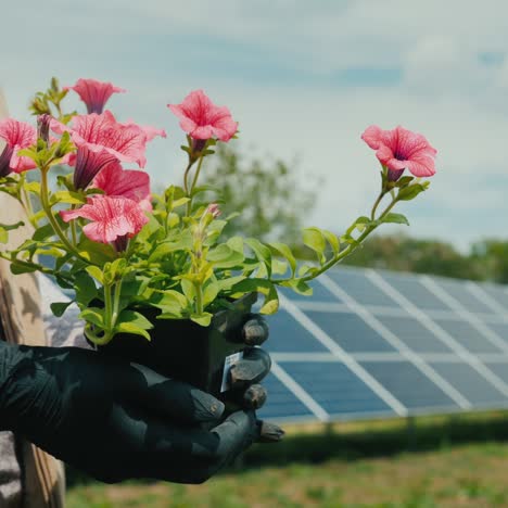 Woman-Holds-Pot-With-Flower-In-Front-Of-Home-Solar-Power-Plant-1