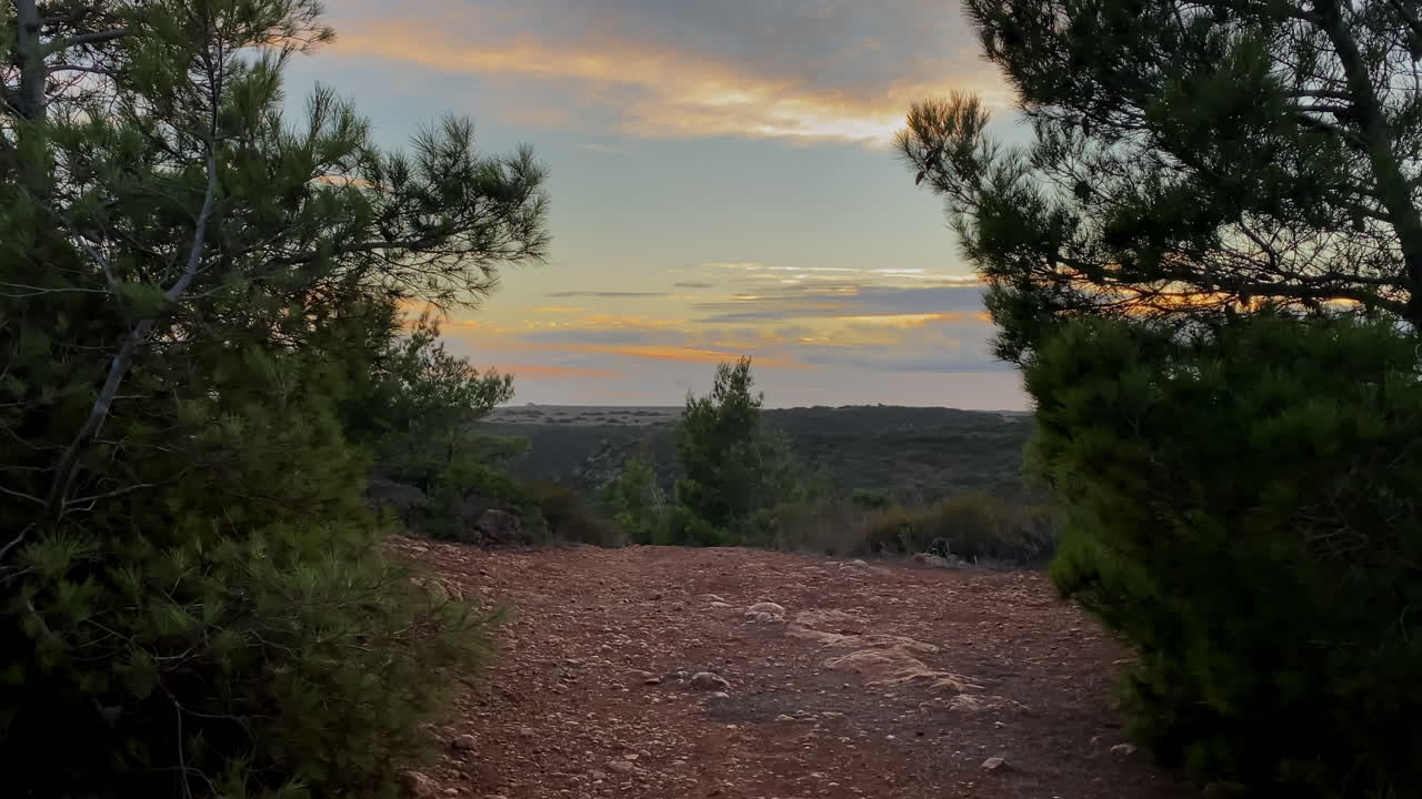 A red dirt road stretches toward the horizon under a pink Algarve sky at dusk Soft evening light falls over coastal pines in Sagres, blending green and gold under a fading sky