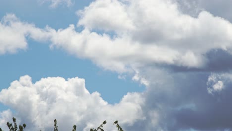 Clouds-with-trees-underneath---Timelapse