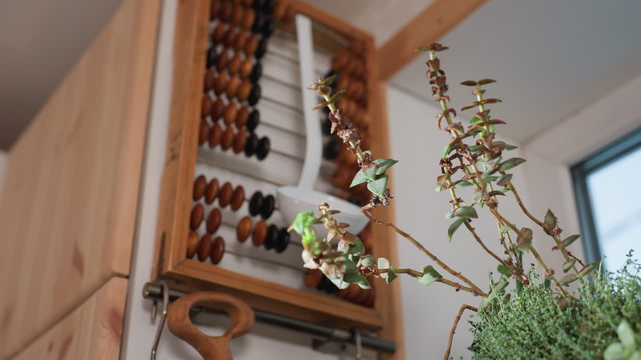 Green potted plant placed near hanging kitchen utensils including wooden cutting board and ladle, with vintage wooden abacus in background