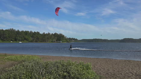 tourist kitesurfing through blue ocean during summer in floras lake, oregon - slow motion