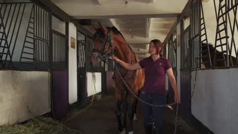 mujer liderando un caballo a través de un establo