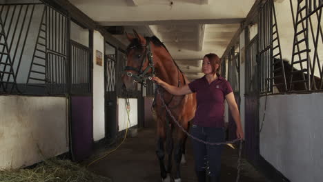 woman leading a horse through a stable