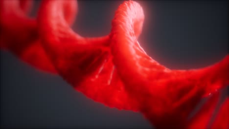 loopable structure of the dna double helix animation