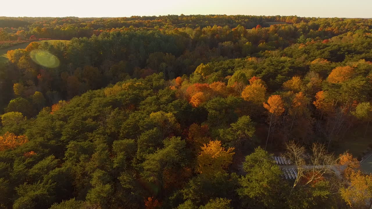 toma cinematográfica de un bosque otoñal en hocking hills en logan, ohio