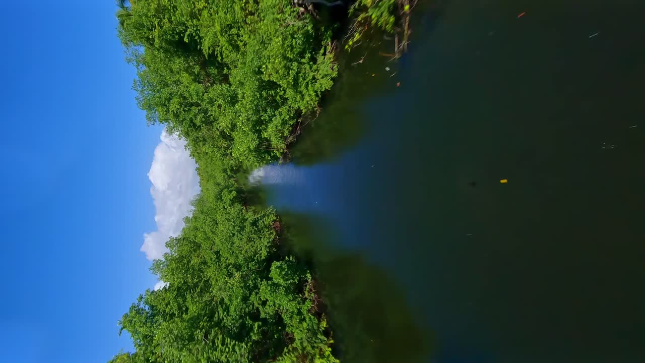 Flight over Arroyo Salado river and tropical forest, Maria Trinidad Sanchez in Dominican Republic