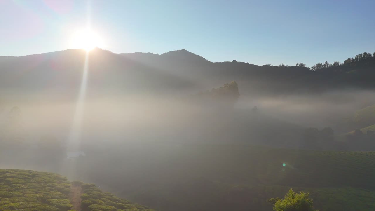 Early morning fog at dawn, Munnar, beautiful-tea-garden-landscape-munnar