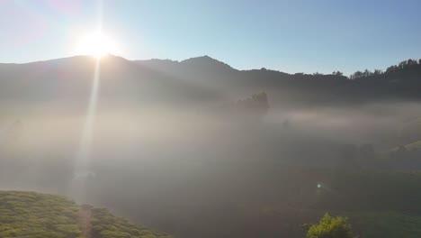early morning fog at dawn, munnar, beautiful-tea-garden-landscape-munnar