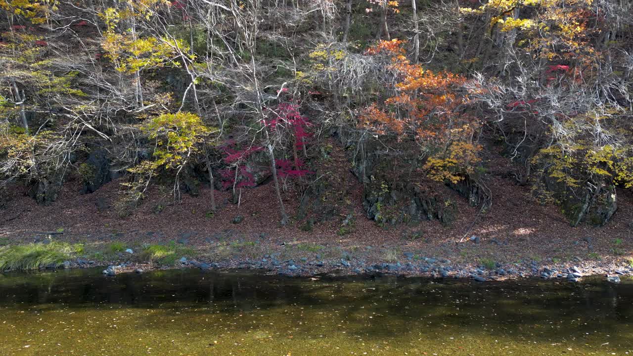 드론이 자연 속에서 숲과 함께 강 위를 으로 날고 있습니다.