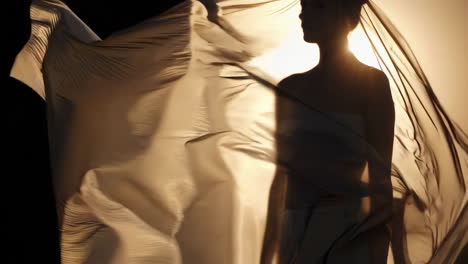 silhouette of a woman in flowing fabric