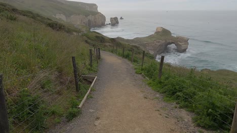 Caminata-Empinada-Cuesta-Abajo-Con-Impresionantes-Vistas-Del-Arco-De-Roca-Natural-Y-Los-Acantilados-De-Arenisca---Vía-De-La-Playa-Del-Túnel,-Dunedin