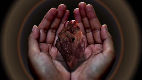 an abstract concept of human hands shielding and protecting a vulnerable human heart - seamless looping