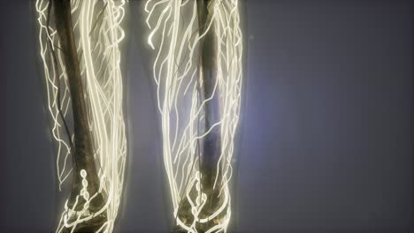 Human-Body-with-Glow-Blood-Vessels