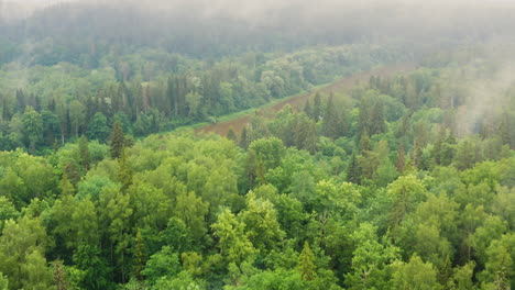 aerial: flight over misty mountain forest and river, foggy weather, 4k view