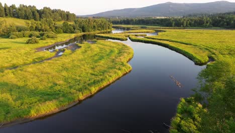 a cinematic view from a drone that flies just above the surface of a river that flows through a green landscape in the countryside